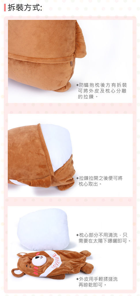 雷曼熊介紹文100(4)00