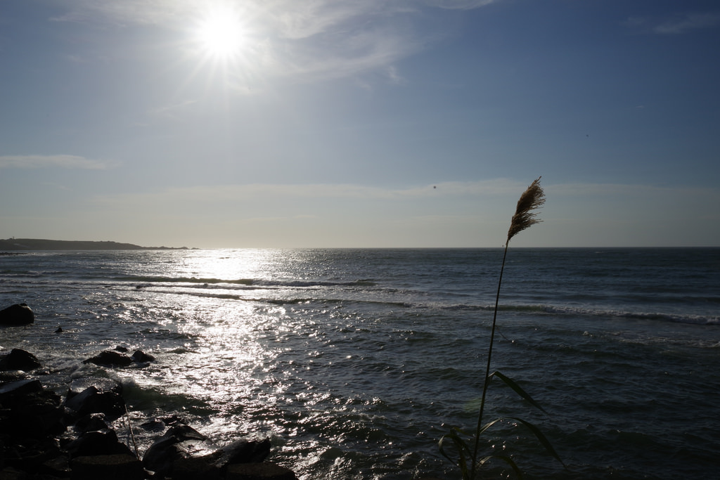【開箱‧評測】HD PENTAX-D FA 24-70mm F2.8 ED SDM WR｜標準變焦鏡皇‧K-1一鏡走天涯！
