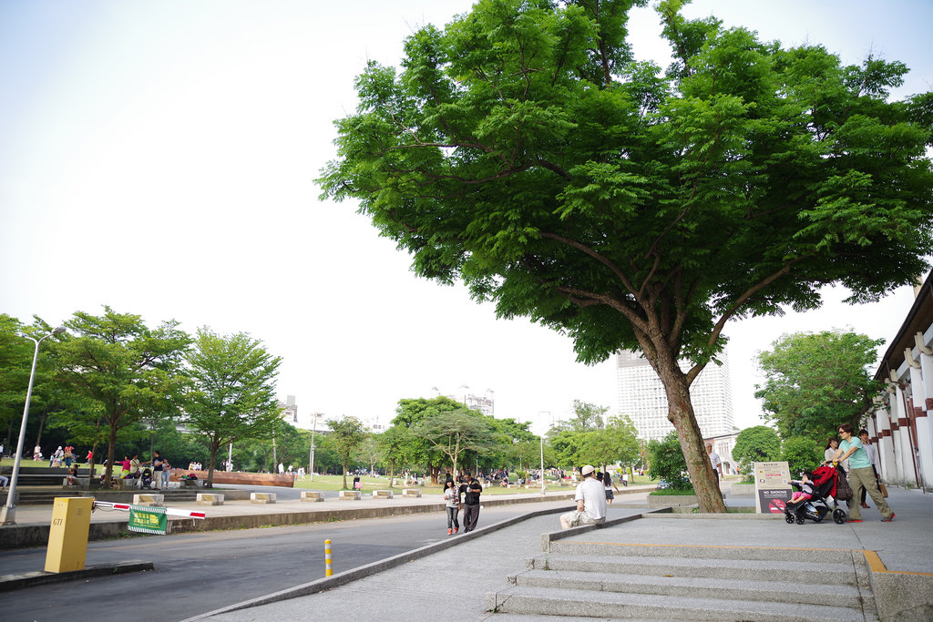 Pentax K-1【極限‧超暴力‧動態追焦測試!】 Pentax K-1【極限‧超暴力‧動態追焦測試!】