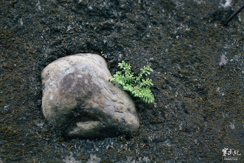 OG1A0879