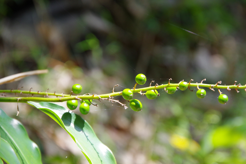【開箱‧評測】HD PENTAX-DA 16-85mm F3.5-5.6 ED DC WR｜PENTAX誠意之作．防塵防滴新世代旅遊鏡