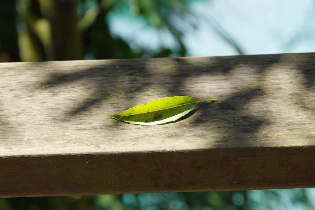 【開箱‧評測】HD PENTAX-DA 16-85mm F3.5-5.6 ED DC WR｜PENTAX誠意之作．防塵防滴新世代旅遊鏡