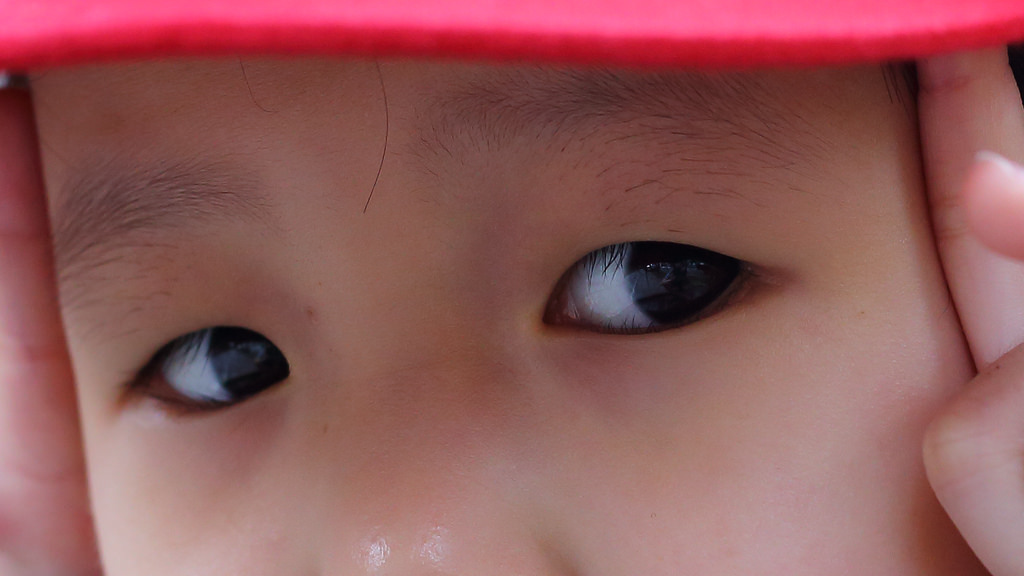 Canon EF 50mm F1.8 STM．終極核武｜CP封神の窮人大光圈