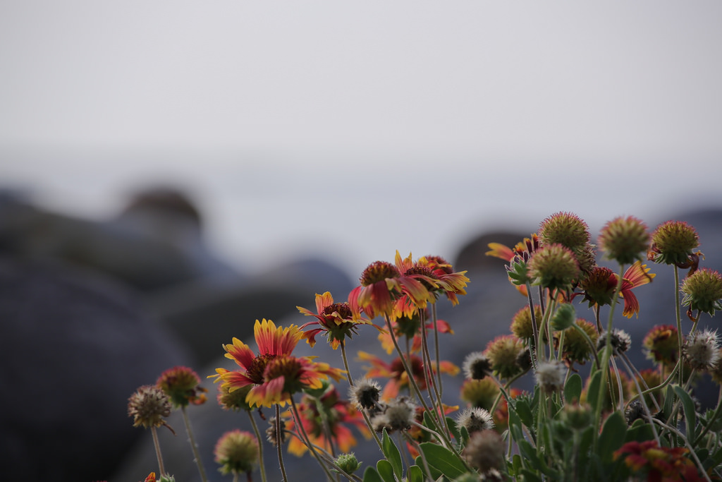 Tamron 28-300mm F3.5-6.3 Di VC PZD‧十倍界王拳超級天涯鏡(A010)