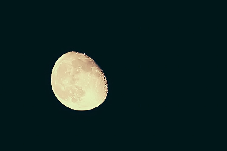 【中肯‧開箱】Canon EF 135mm f/2L USM‧士林夜市人文街拍 【中肯‧開箱】Canon EF 135mm f/2L USM‧士林夜市人文街拍