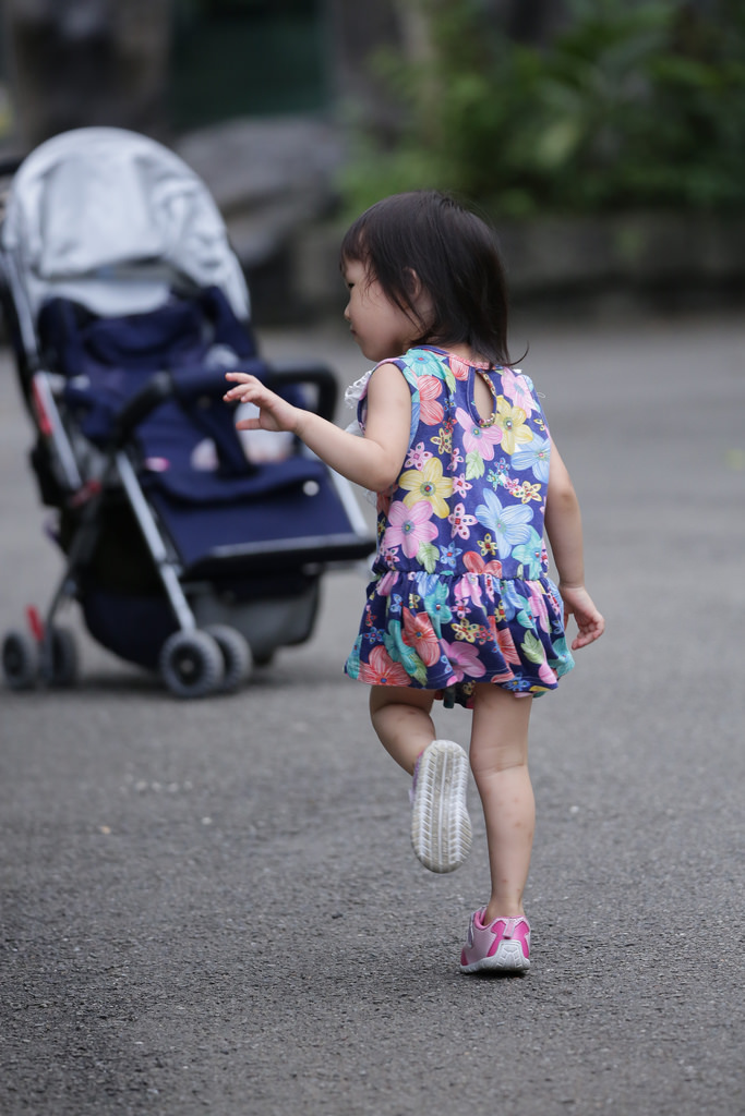 【中肯‧實拍】Tamron SP 150-600mm F5-6.3 Di VC USD‧以下犯上的高畫質平民巨砲