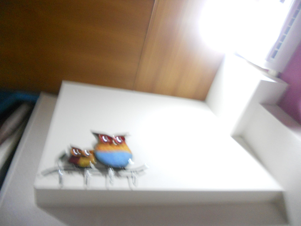 DSCN4696