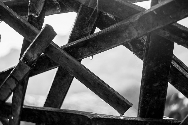 IMG_6380