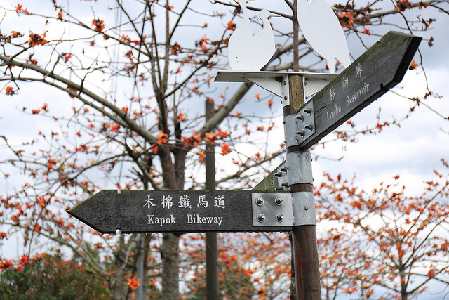 【中肯‧開箱】Canon EF 24-70mm f4L IS USM‧鏡皇陰影下的高CP秀才L鏡
