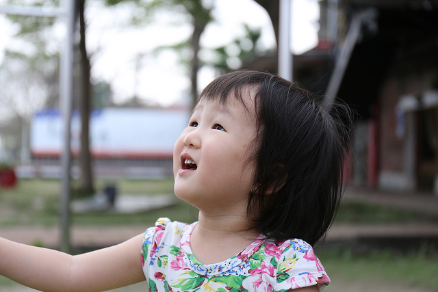 【中肯‧開箱】Canon EF 24-70mm f4L IS USM‧鏡皇陰影下的高CP秀才L鏡