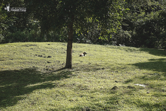 IMG_2208 【中肯‧遊記】圓山兒童樂園.EOS M 64mm的大視界