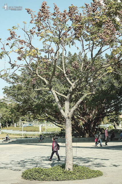 IMG_2214 【中肯‧遊記】圓山兒童樂園.EOS M 64mm的大視界