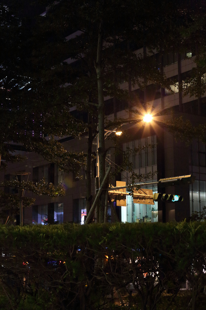 Canon EF 70-300mm F4-5.6 L IS USM‧全手持+日拍+夜拍 完整畫質評測