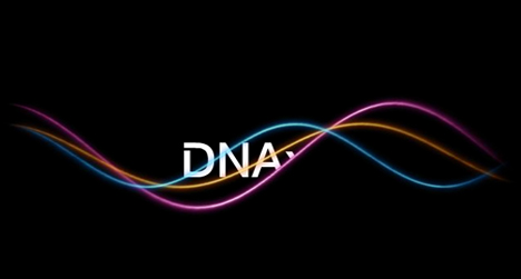 【DNA出錯】結婚10多年不孕，檢查竟是「女丈夫」！ @包子爸の食尚攝影手札
